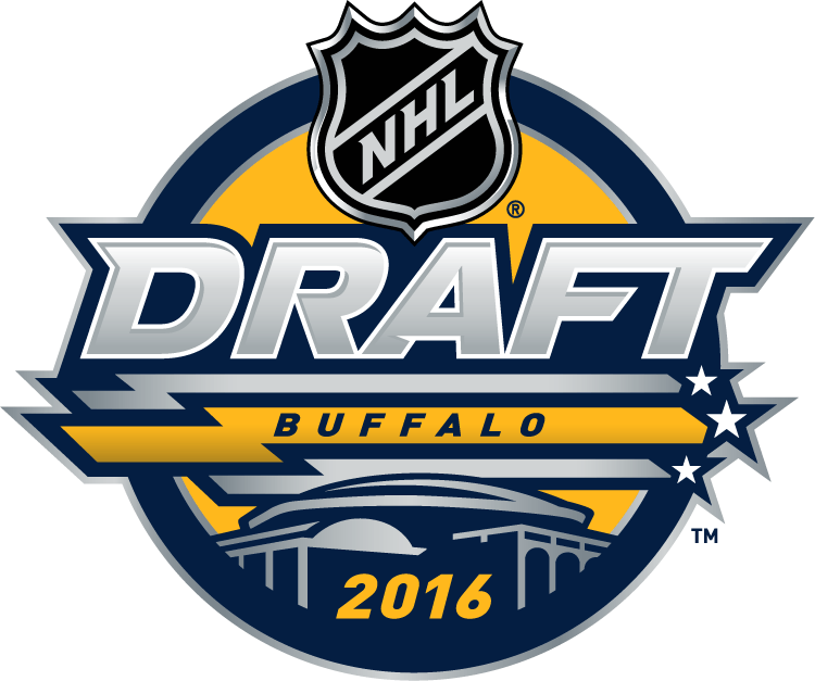 NHL Draft 2016 Primary Logo DIY iron on transfer (heat transfer)